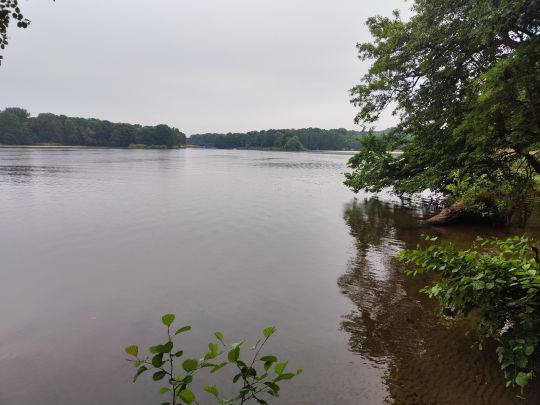 Lehnitzsee (Oranienburg)-2