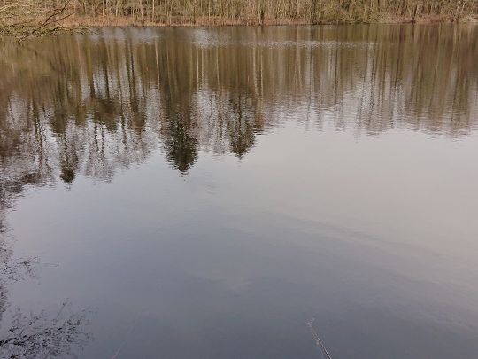 Ohmoorteich