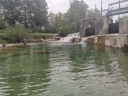 Weiße Traun (Siegsdorf)-4