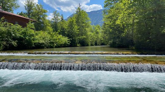 Weiße Traun (Siegsdorf)-1