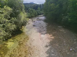 Weiße Traun (Siegsdorf)-2