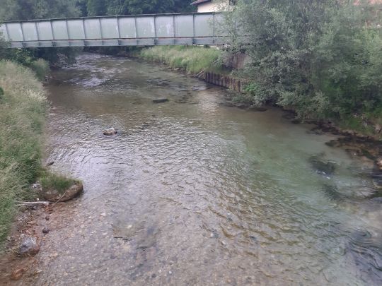 Weiße Traun (Siegsdorf)-3