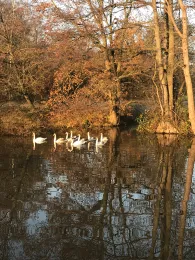 Hunte-Altarm Rosengarten