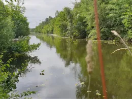 Breitenburger Moorkanal