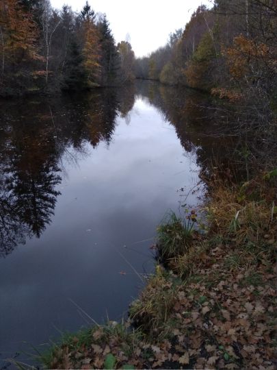 Breitenburger Moorkanal-3