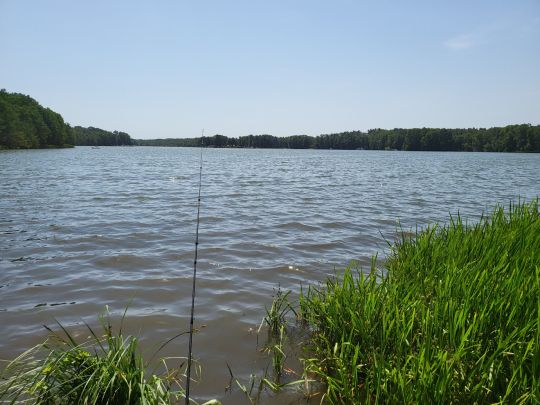 Klostersee (Lehnin)-3
