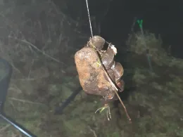 Weser (Drakenburg)-2