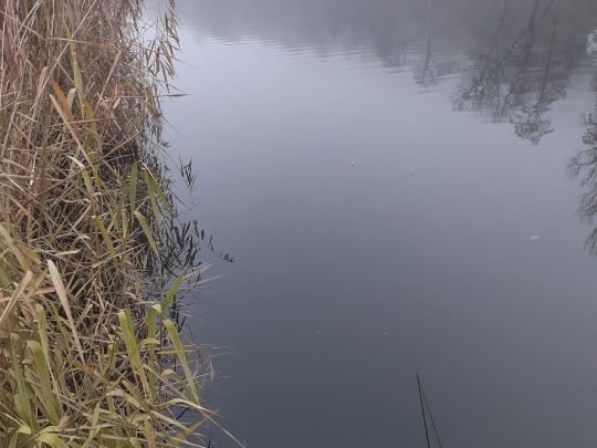 Herzogweiher (Bad Dürkheim)-1