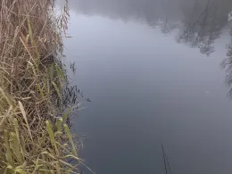 Herzogweiher (Bad Dürkheim)-1