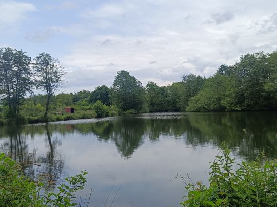 Angelpark Ahrensbök-1