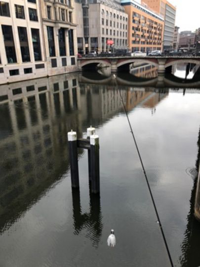 Alsterfleet (Hamburg)-4