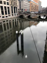 Alsterfleet (Hamburg)-4