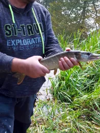 Privatsee bei Drewitz-1