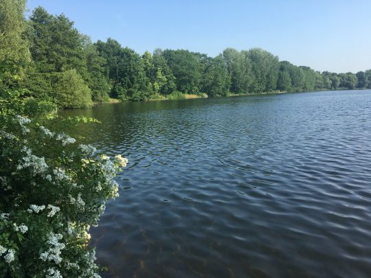 Blauer See (Dorsten)-1