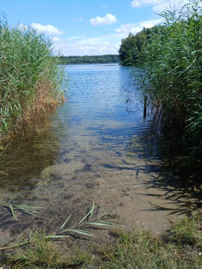 Alte Grube (Möhlau)-1