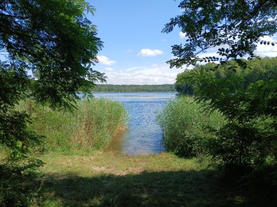 Alte Grube (Möhlau)