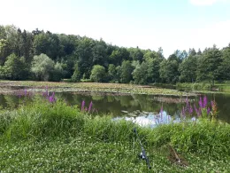 Siebenborn (Eisenach)