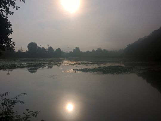 Siebenborn (Eisenach)-1