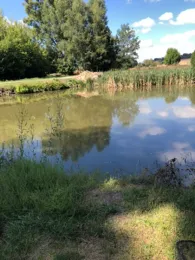 Froschteich (Farnstädt)-1