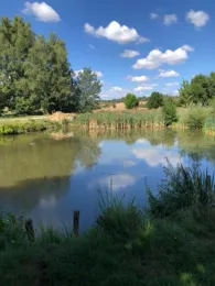 Froschteich (Farnstädt)