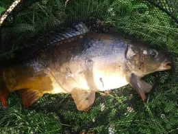 Forellenteich Nottensdorf