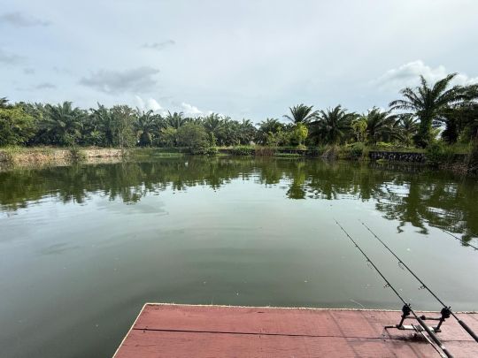 Phuket Monster Fishing Park-2