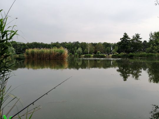 Wanssums Ven (Oostrum)-1