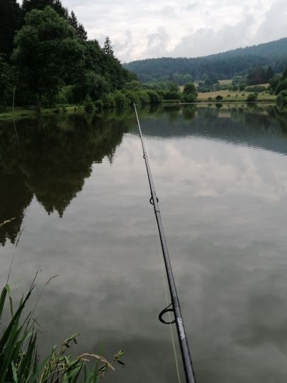 Silbersee (Bromskirchen) angeln