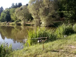 Silbersee (Bromskirchen)-1