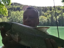 Rhein (Hohentengen am Hochrhein)