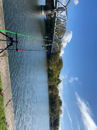 Havel (Plaue/Briest)