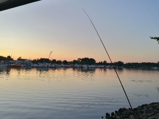 Havel (Plaue/Briest)-2