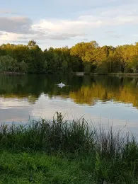 Fischweiher Offenbach/Queich-3