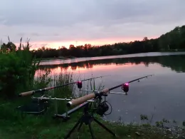 Fischweiher Offenbach/Queich