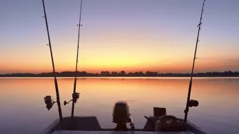 Lago Superiore (Mantua)-4