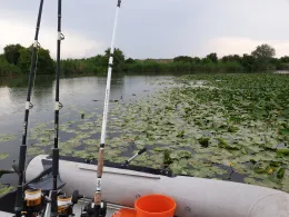Lago Superiore (Mantua)-1
