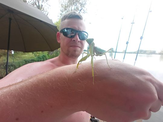 Lago Superiore (Mantua)-3