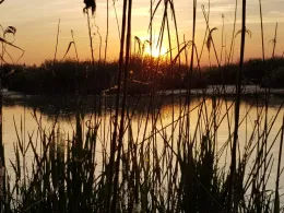 Lago Superiore (Mantua)-2