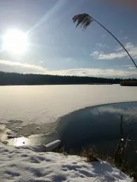 Sandgrube Hütten 1 (Grafenwöhr)-0