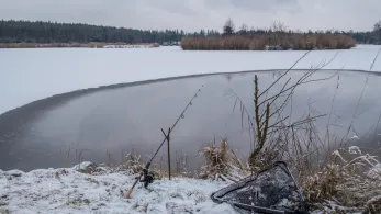 Sandgrube Hütten 1 (Grafenwöhr)-1