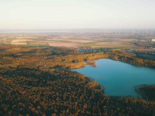 Dammer Bergsee (Damme)