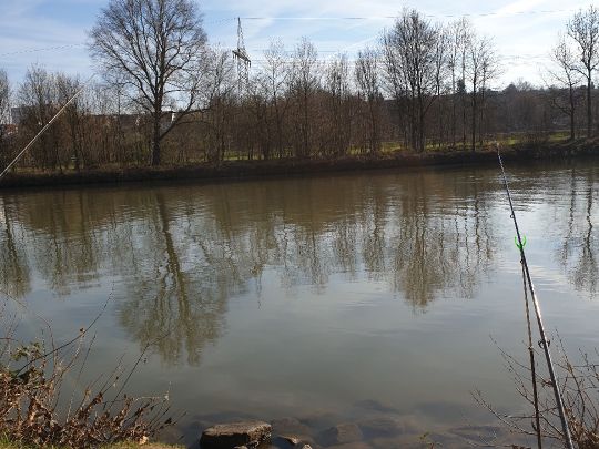 Neckar (Ludwigsburg)-1