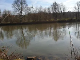 Neckar (Ludwigsburg)-1