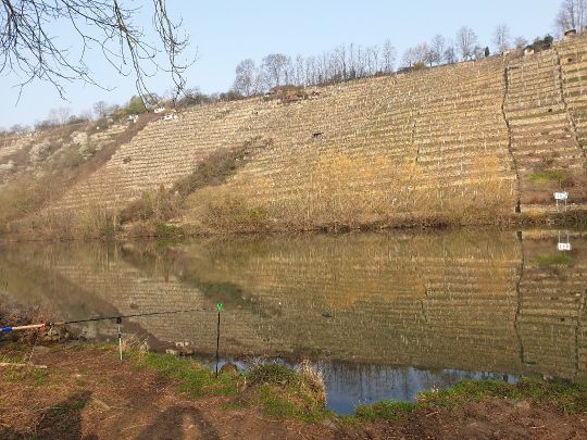 Neckar (Ludwigsburg)-2