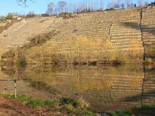 Neckar (Ludwigsburg)-3