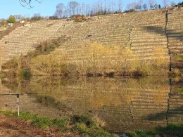 Neckar (Ludwigsburg)-3
