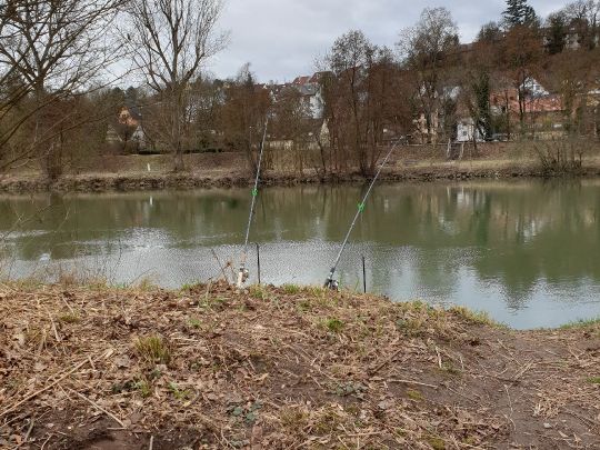 Neckar (Ludwigsburg)-4