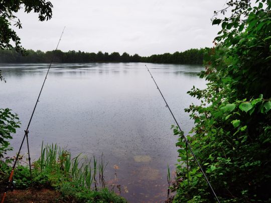 Attinger See (Straubing)-2