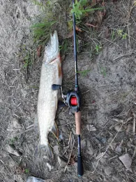 Main (Frankfurt-Griesheim)-4