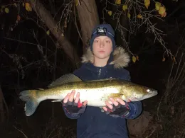 Main (Frankfurt-Griesheim)-2